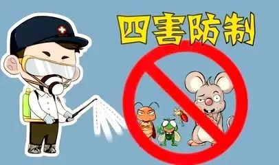 图片5.png 图片5.png