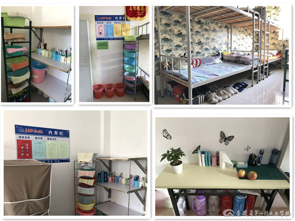 宿舍文化创建.jpg
